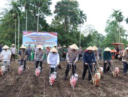 Polresta Manado Laksanakan Penanaman Jagung Raya Serentak Kuartal I Tahun 2026 di Empat Lokasi , Dukung Ketahanan Pangan Nasional